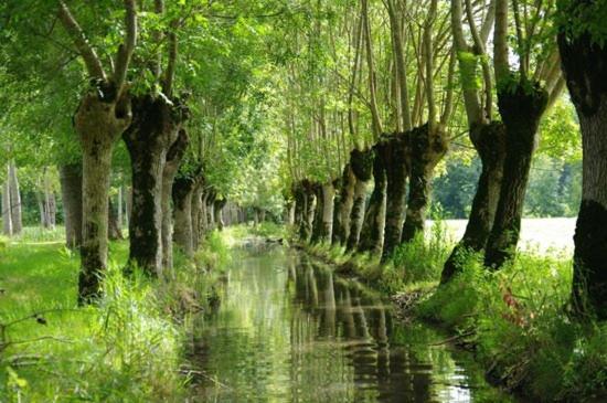 Une Maraichine En Bord De Conche Avec Barque Sans Linge De Maison Arcais Ngoại thất bức ảnh